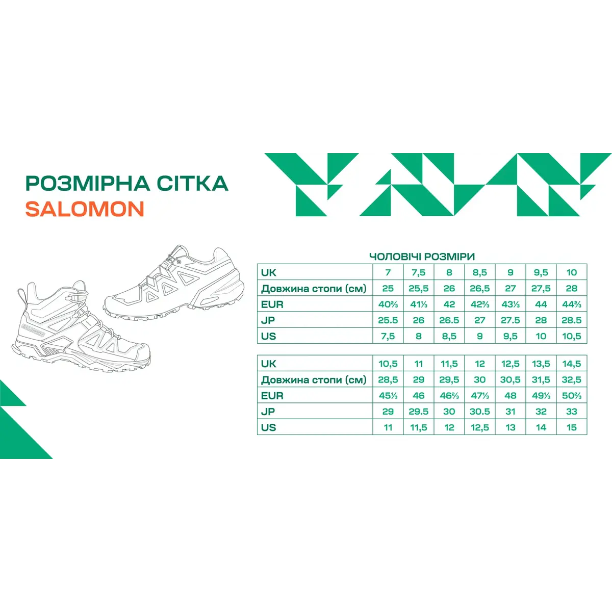 Розмірна сітка